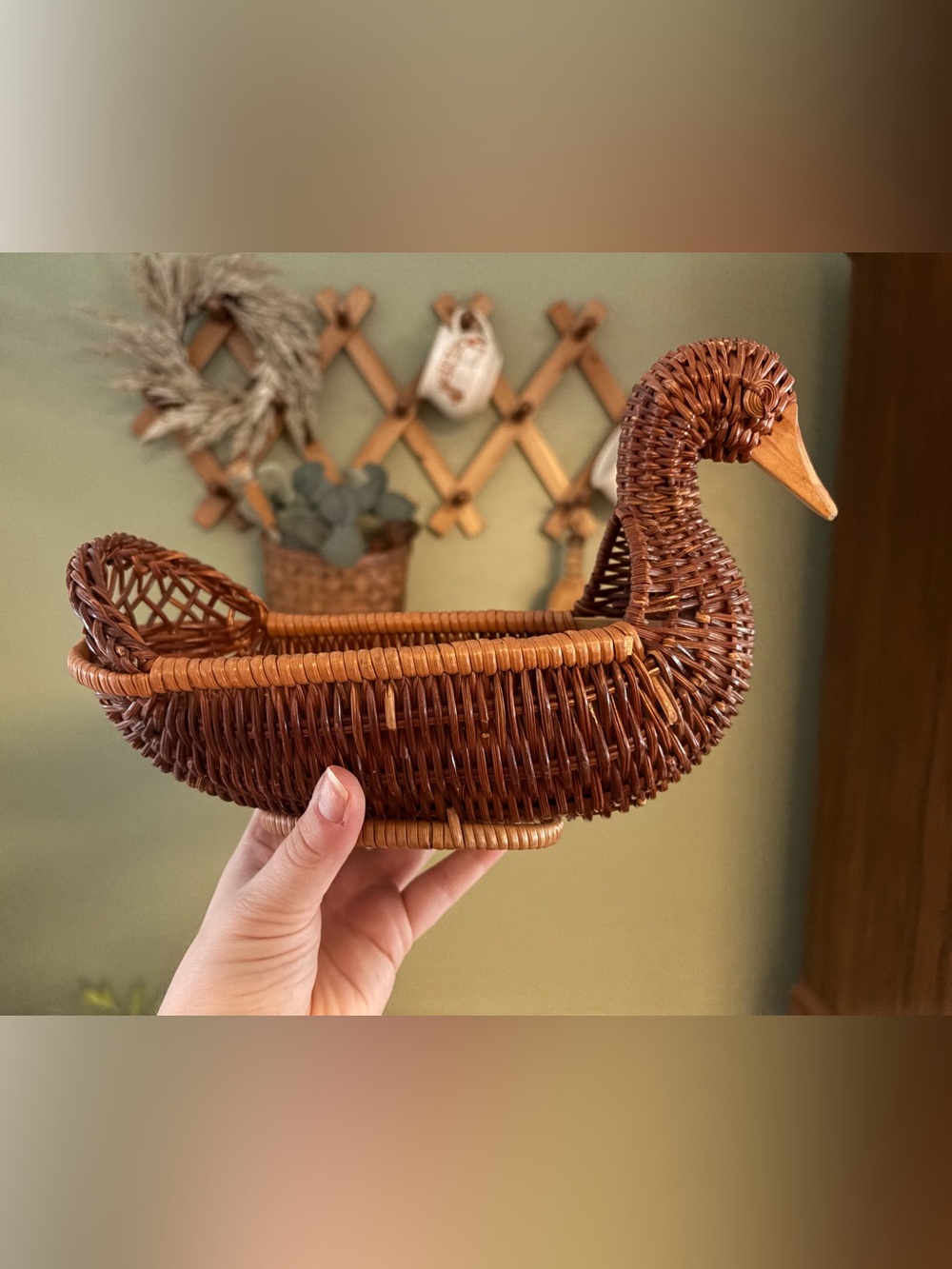 Woven Decorative Duck Basket - Brown